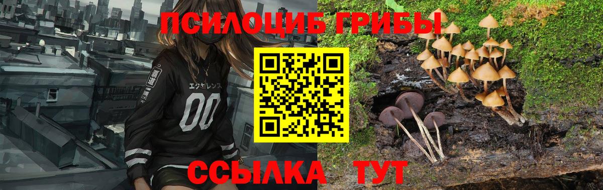 Псилоцибиновые грибы мухоморы  Вход с VPN  Углич  Галлюциногенные грибы мицелий 